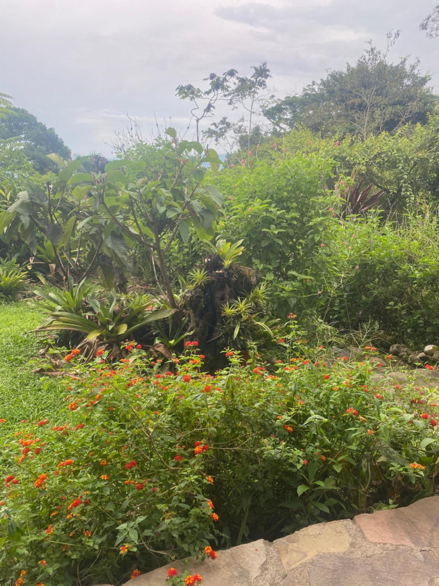 Birds & Breakfast Costa Rica Bed and Breakfast La Tigra  Εξωτερικό φωτογραφία