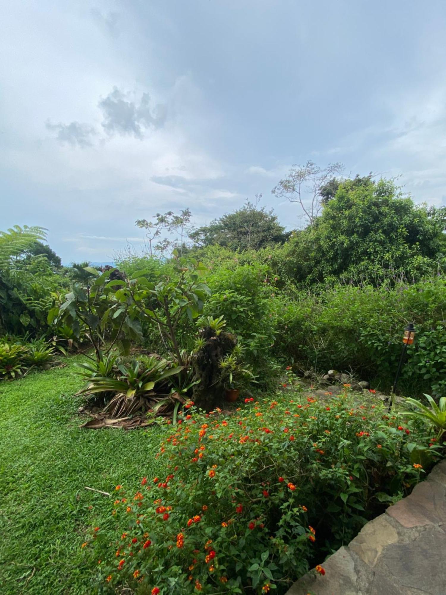 Birds & Breakfast Costa Rica Bed and Breakfast La Tigra  Εξωτερικό φωτογραφία